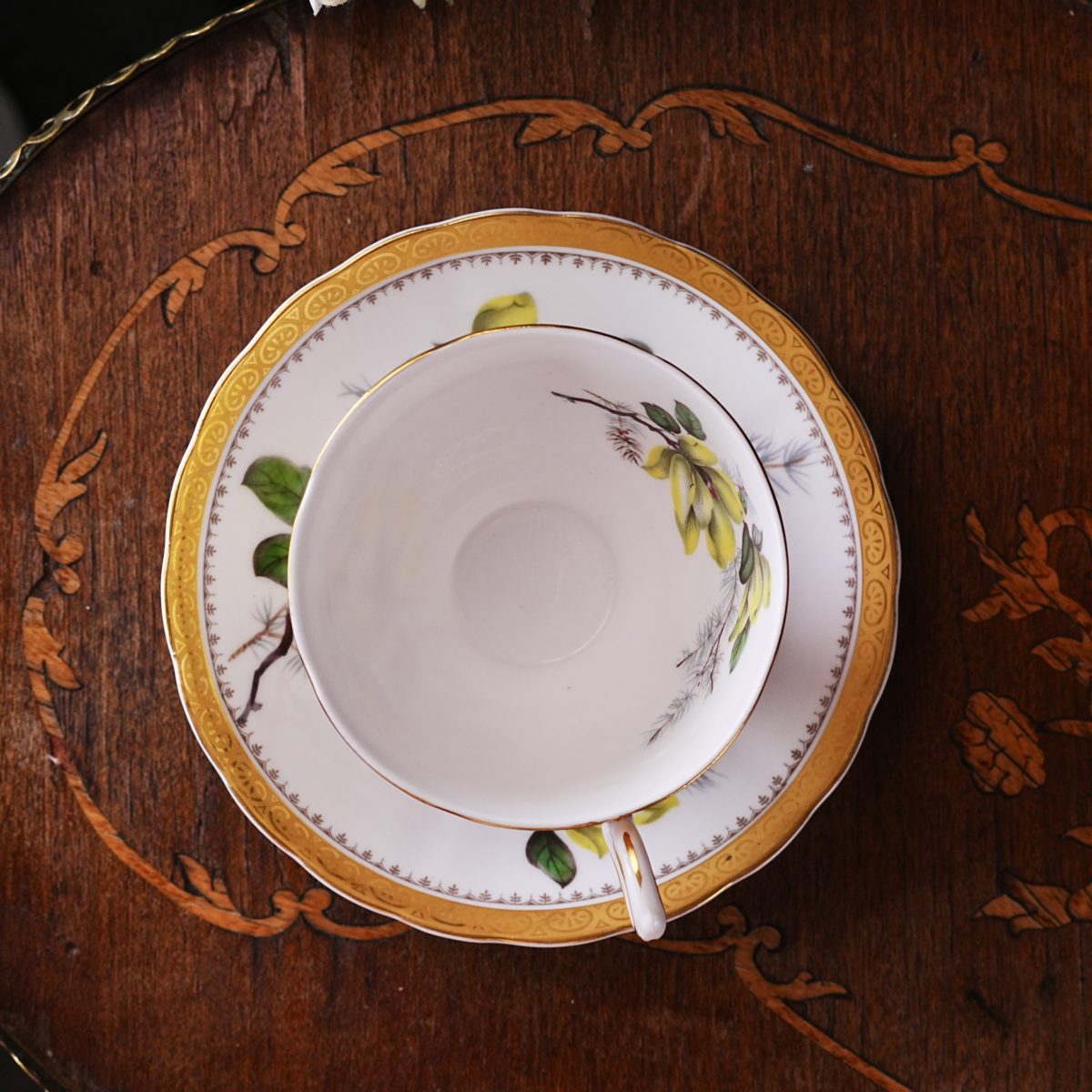 Vintage Royal Tuscan Yellow Magnolia Teacup and Saucer photo 2