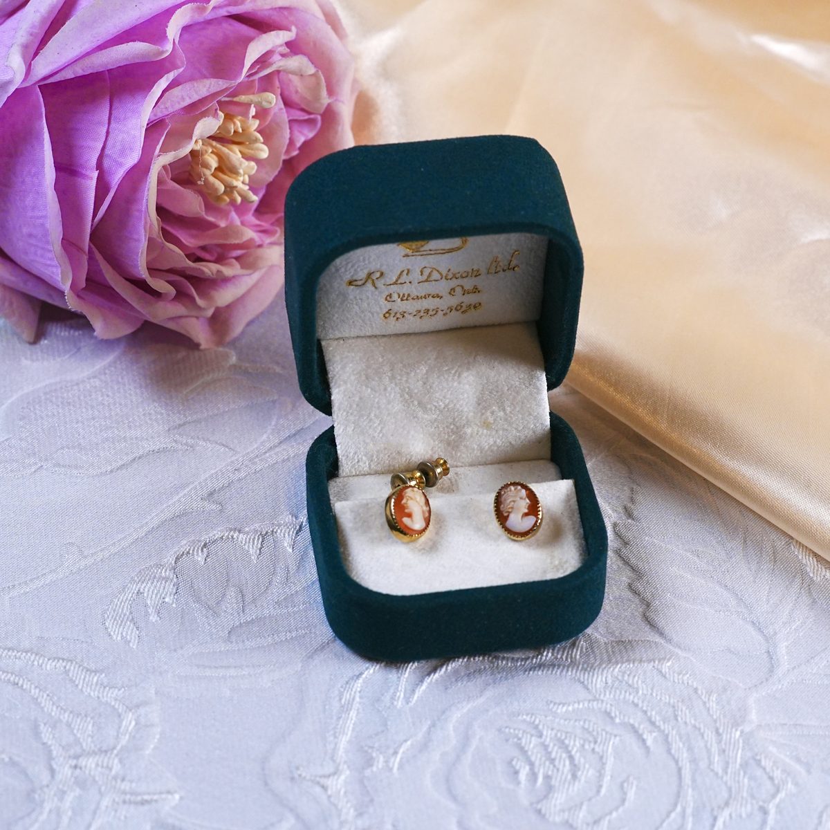 Vintage Shell Cameo Screw-Back Earrings – Hand-Carved Portrait, Gold Bezel Setting, Original Ottawa Jeweler Box, Circa 1950s